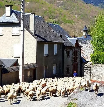 La Maison D'Aure *
